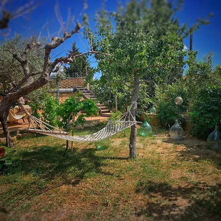 Alloggio per agriturismo Il Casato - Il Torchio *